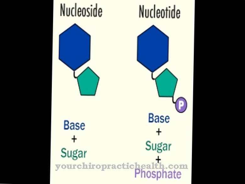 Nucleosídeos