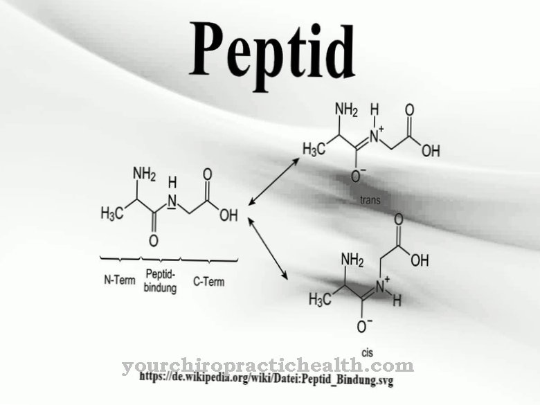 peptide