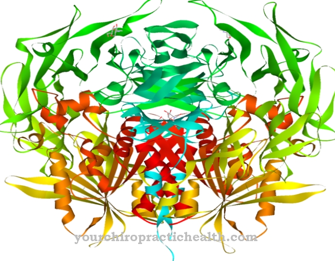 peptidase