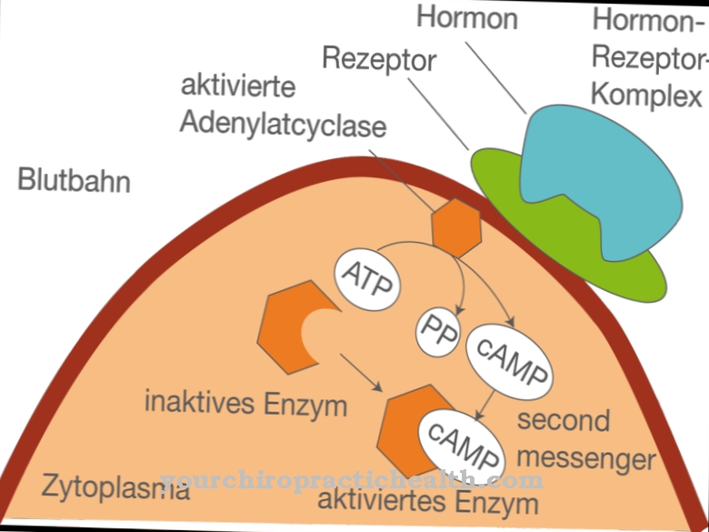 Peptide hormone