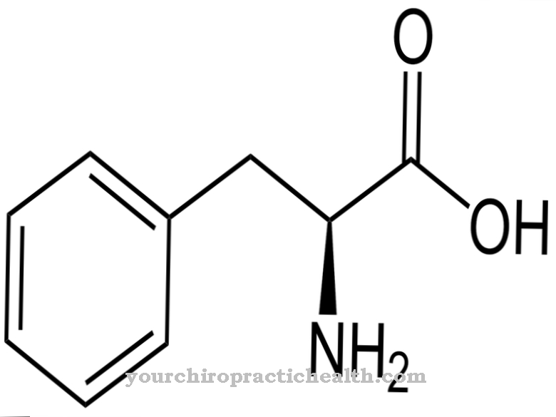 Fenyloalanina