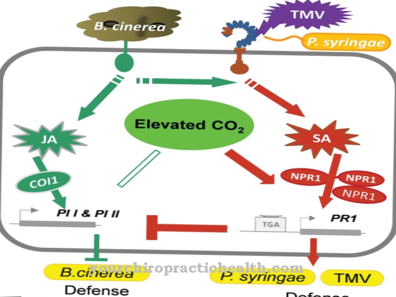 Phytohormones