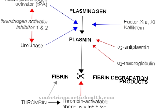 Plasminogeen-activator-remmer