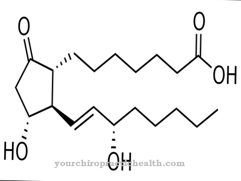 prostaglandini