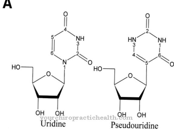 Pseudouridinas