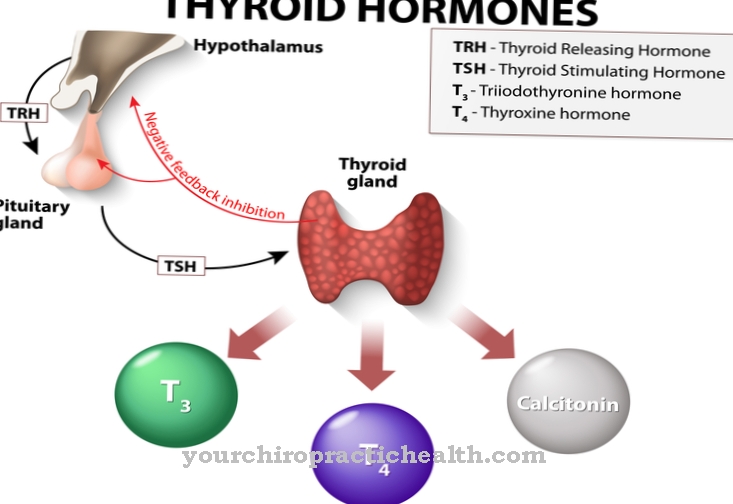 Releasing hormones