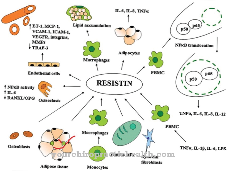 Resistin