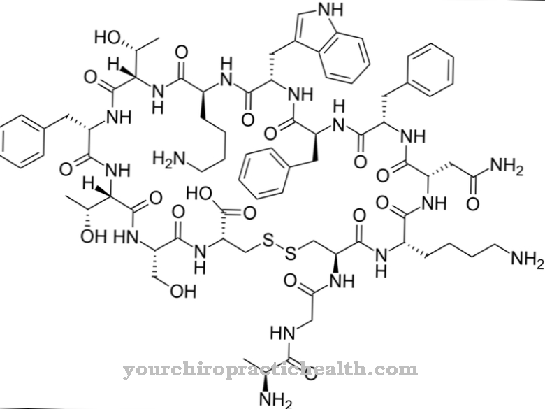 somatostatina