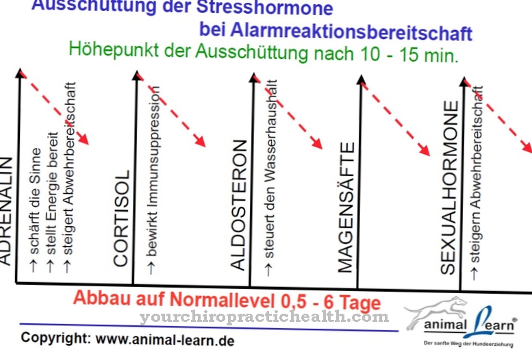 Stress hormones