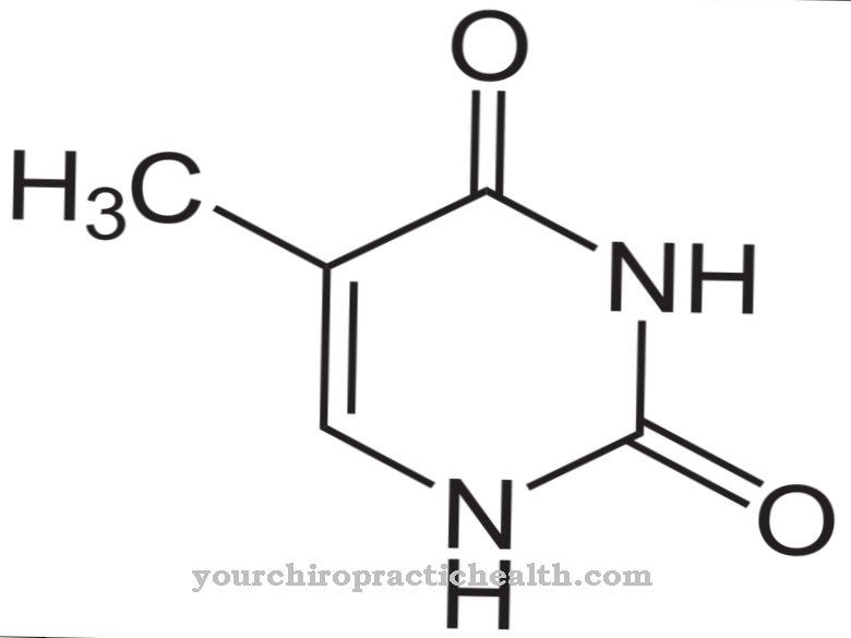 Thymine