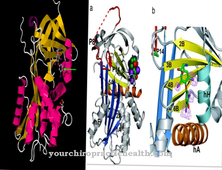 Thyroid stimulin