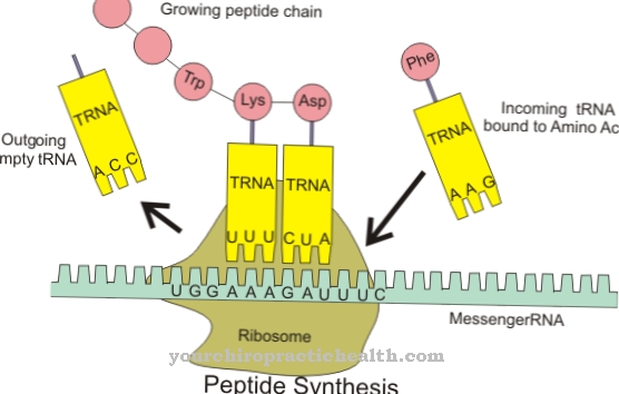 Transferencia de ARN