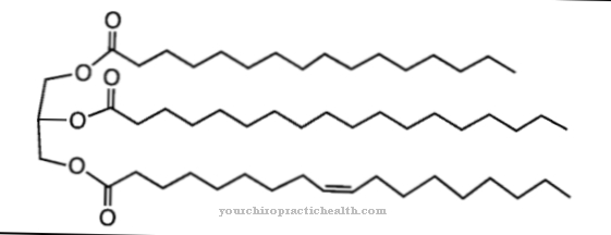 Triglycerides