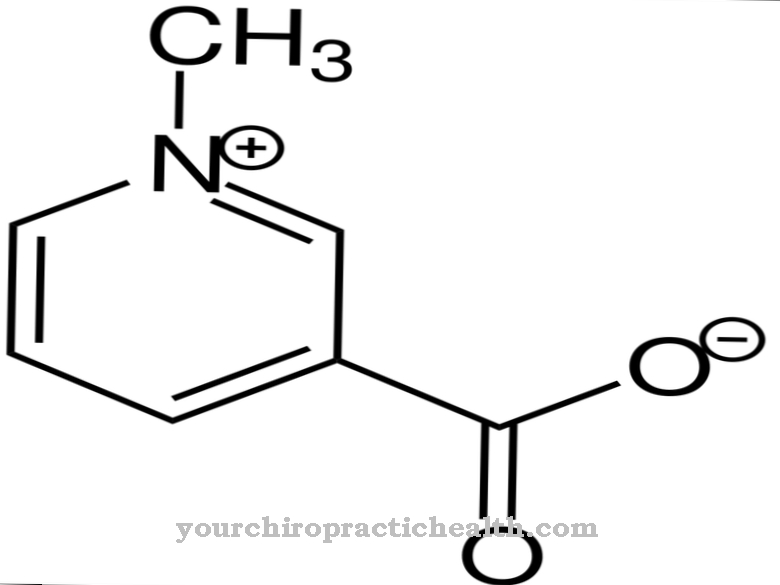 Trigonelline