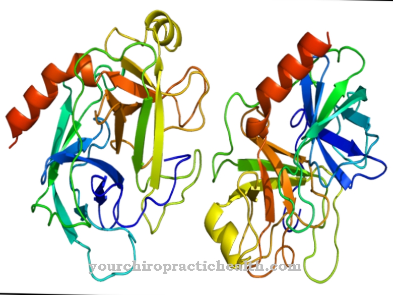 Trypsinogen