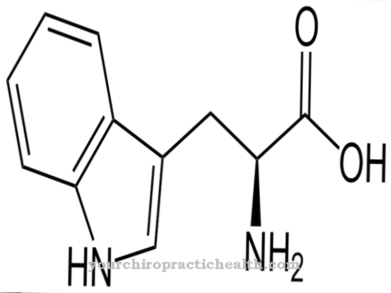 Triptofāns