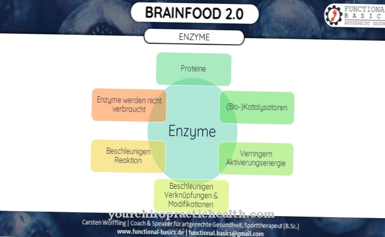 Digestive enzyme