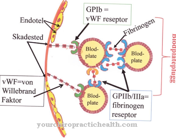 Factor de von Willebrand