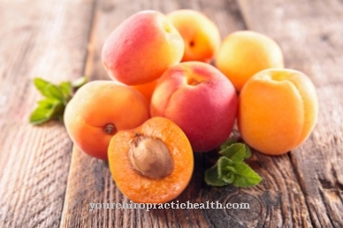 apricot