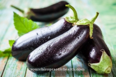 aubergine