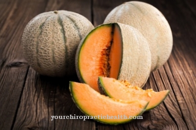 Cantaloupe melon