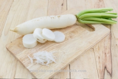 daikon