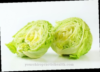 Iceberg lettuce