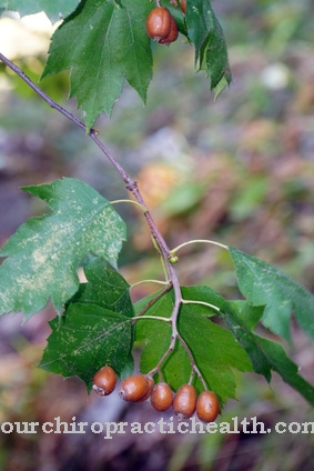 Service tree