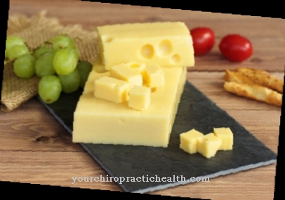 Emmental