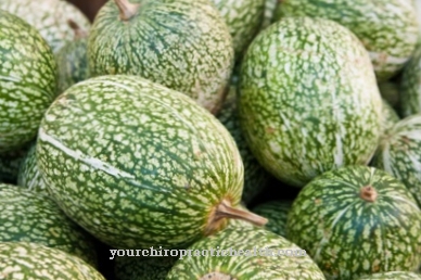 Fig leaf pumpkin