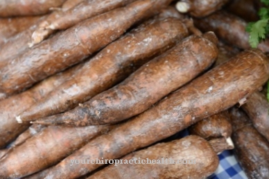 Garden black salsify