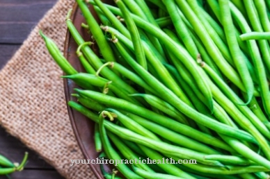 Kacang ginjal