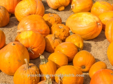 Garden pumpkin