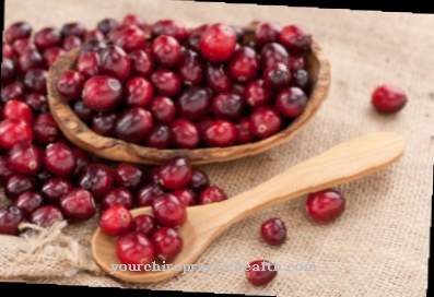 Large-fruited cranberries