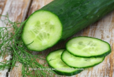 cucumber