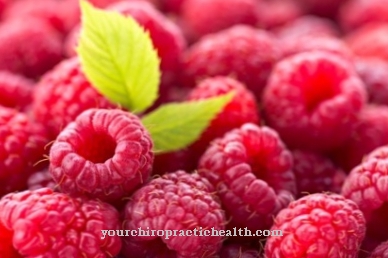 raspberry