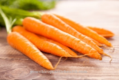 carrot