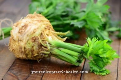 celery root