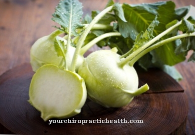 Kohlrabi