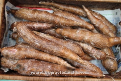 manioc