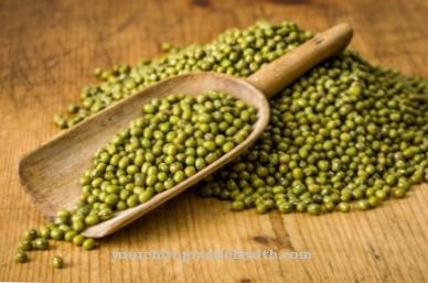 Mung bean