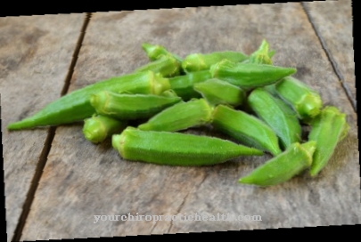 okra