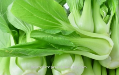 Pak choi