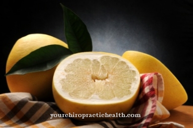 Grapefruit