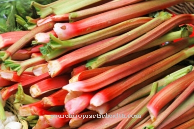 rhubarb