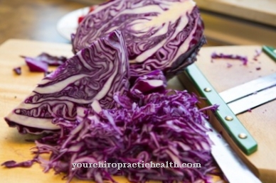 Red cabbage