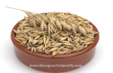 Seed oats