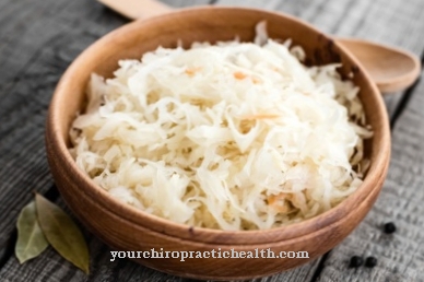 sauerkraut