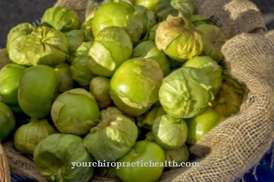 Tomatillo