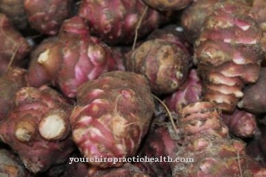 Jerusalem artichoke